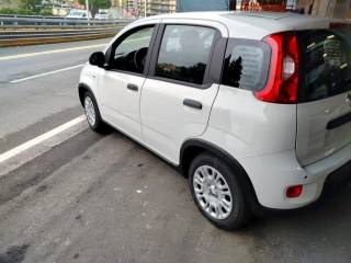 FIAT Panda usata, con Airbag Passeggero