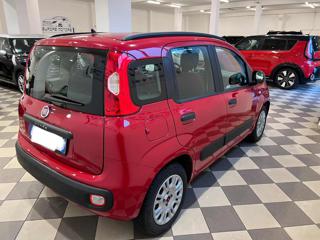 FIAT Panda usata, con Chiusura centralizzata