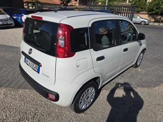 FIAT Panda usata, con Chiusura centralizzata