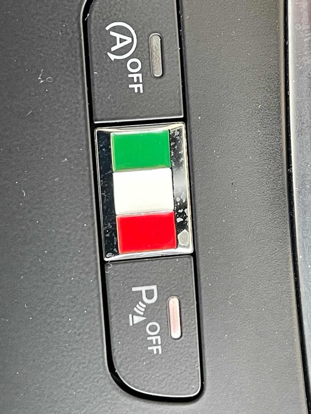 ALFA ROMEO Tonale usata 25