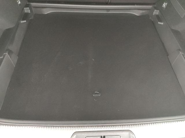 DS AUTOMOBILES DS 7 Crossback usata, con Vetri oscurati