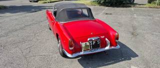 FIAT Other usata 18