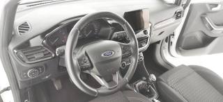 FORD Fiesta usata 62