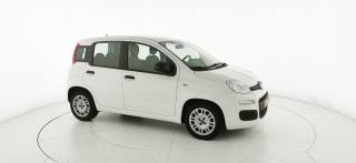 FIAT Panda usata 22