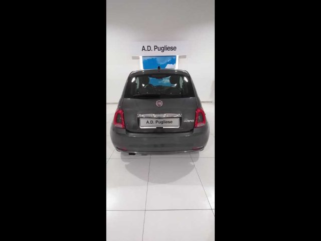 FIAT 500 usata 5