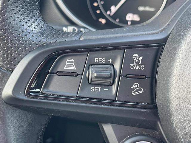 ALFA ROMEO Stelvio usata, con Fendinebbia