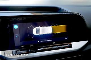 FORD Tourneo Connect usata, con Cronologia tagliandi