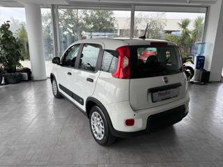 FIAT Panda usata, con Climatizzatore
