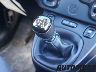 FIAT Panda usata 11
