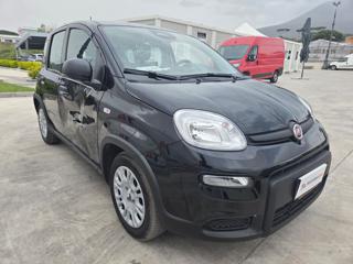 FIAT Panda usata, con Autoradio