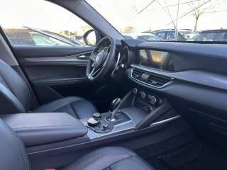 ALFA ROMEO Stelvio usata, con Fendinebbia