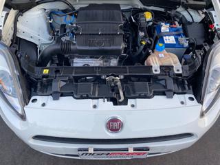 FIAT Punto usata 14