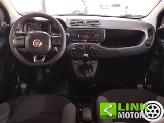 FIAT Panda usata 17