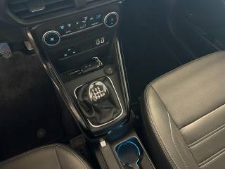FORD EcoSport usata, con Volante in pelle