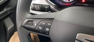 SEAT Arona usata 20