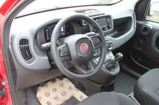 FIAT Panda usata, con Cruise Control