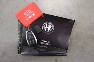 ALFA ROMEO Tonale usata, con Interni in pelle