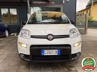 FIAT Panda usata, con Antifurto