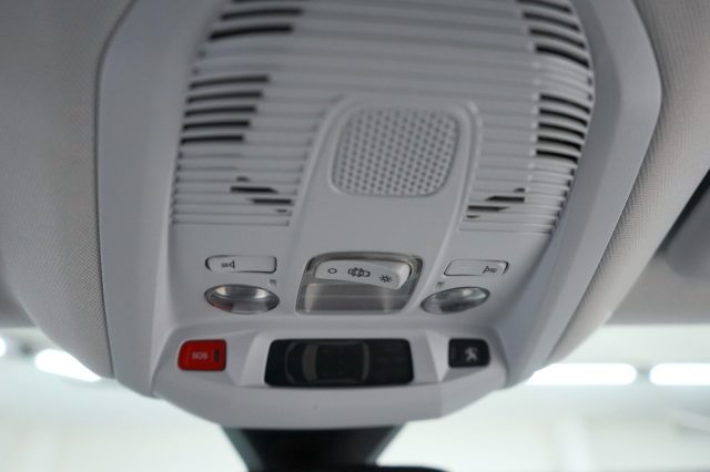 PEUGEOT 3008 usata 50