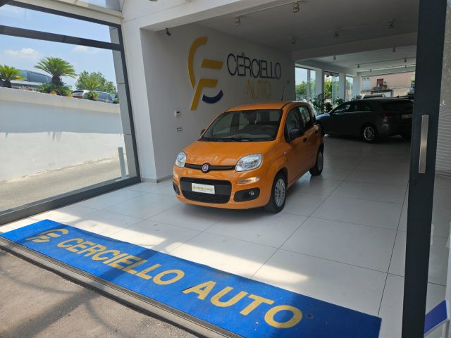 FIAT Panda usata, con Alzacristalli elettrici