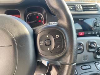 FIAT Panda usata, con Climatizzatore