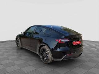 TESLA Model Y usata 2