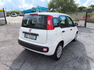 FIAT Panda usata 4