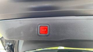 JEEP Avenger usata, con ESP