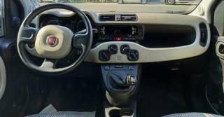 FIAT Panda usata, con Fendinebbia