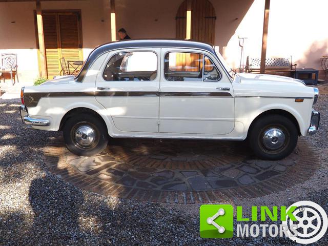 FIAT 1100 usata 3