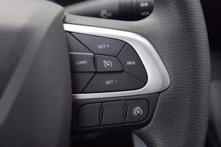 IVECO Daily usata 20