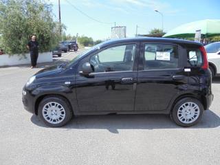 FIAT Panda usata, con Controllo trazione