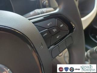 FIAT Panda usata, con Volante multifunzione