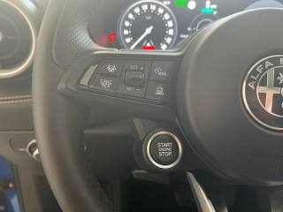 ALFA ROMEO Tonale usata, con Cruise Control