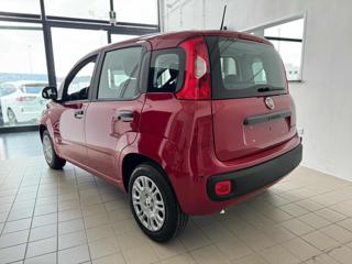 FIAT Panda usata, con Airbag Passeggero