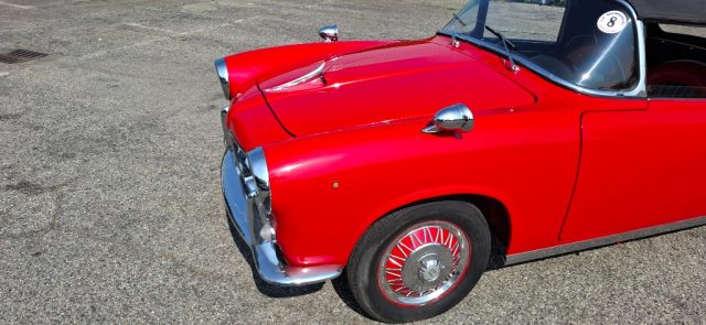 FIAT Other usata 12