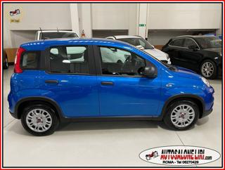 FIAT Panda usata, con Controllo trazione