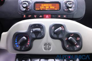 FIAT Panda usata 22
