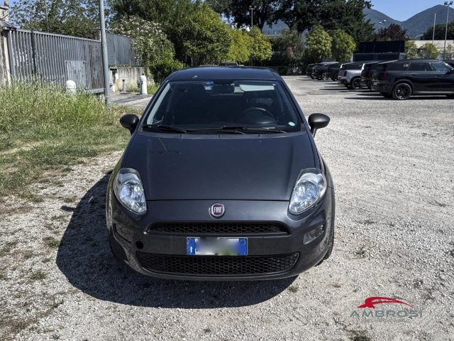 FIAT Punto usata 0