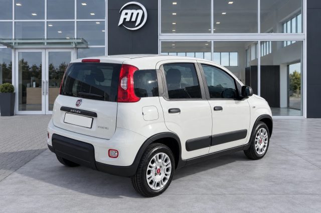 FIAT Panda usata, con Airbag Passeggero