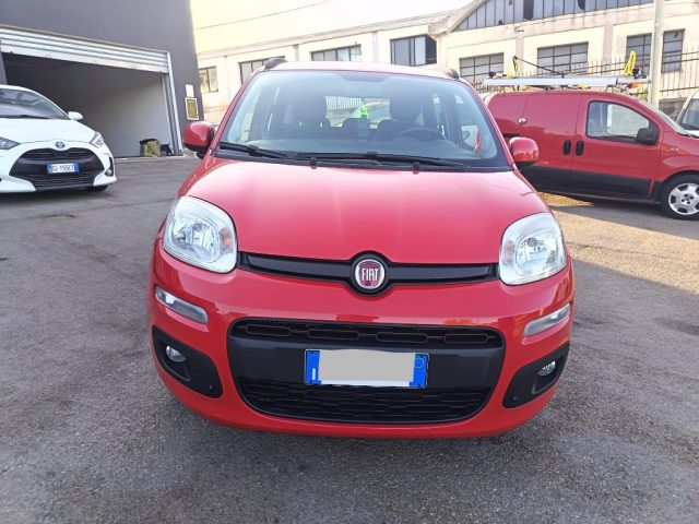 FIAT Panda usata 2