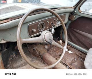 FIAT 500 usata 15