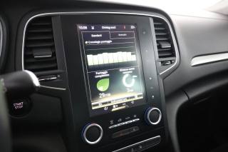 RENAULT Megane usata 8