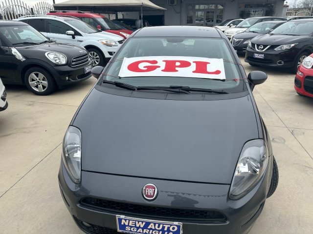 FIAT Punto usata 24