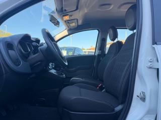 FIAT Panda usata 23