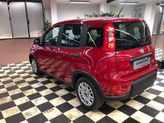 FIAT Panda usata, con Antifurto