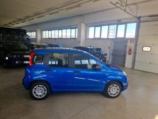 FIAT Panda usata, con Chiusura centralizzata
