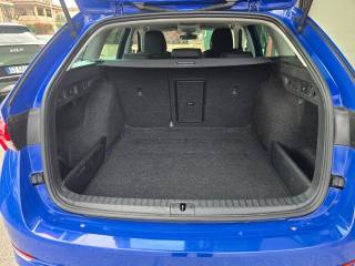 SKODA Octavia usata 112