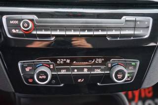 BMW X1 usata, con Filtro antiparticolato