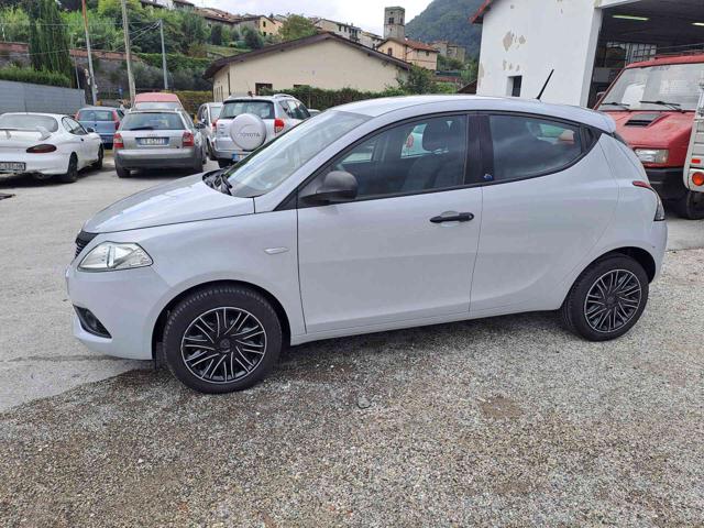 LANCIA Ypsilon usata 15